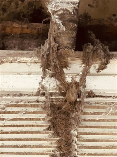 Professional Air Duct Cleaning in Rockwall TX by 1Chimney & Air Duct Cleaning Helping homeowners improve indoor air quality reduce dust increase HVAC airflow and maintain a cleaner healthier home Family owned since 2017 Serving Rockwall Heath Fate Royse City Rowlett Forney Terrell and surrounding North Texas