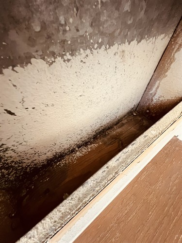 Air Duct Cleaning Rockwall TX Professional HVAC duct cleaning for homes businesses apartments and property managers Removing dust debris pet hair and allergens from your ductwork Helping improve indoor air quality and HVAC performance