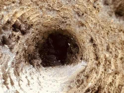 Looking for Dryer Vent Cleaning near Rockwall, TX. Our experienced technicians provide professional dryer vent inspections, lint removal, airflow improvement, vent cleaning, and dryer vent maintenance for homes, apartments, and commercial properties.