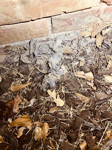 1Chimney & Air Duct Cleaning provides professional Dryer Vent Cleaning, Air Duct Cleaning, Chimney Cleaning, and Gas Fireplace Repair throughout Rockwall County and the Dallas Fort Worth area. Honest recommendations and dependable family owned service since 2017.