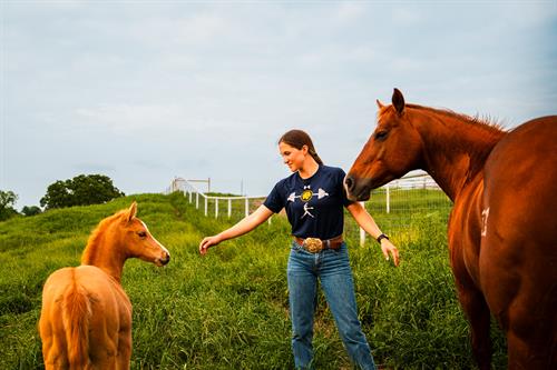 Gallery Image M24171_-_Equine_Center_Photos-1040.jpg