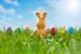 Easter Sunday Brunch @ Hilton Dallas/Rockwall Lakefront