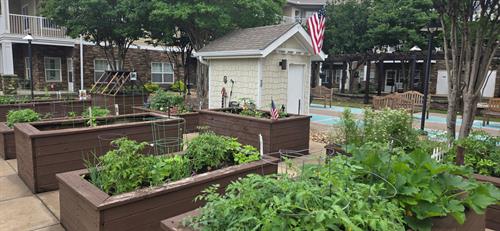 Beautiful raised garden beds