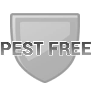We Provide A Pest Free Environment