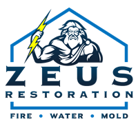 Zeus Restoration