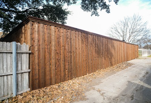 Gallery Image Tommy_H4.jpg