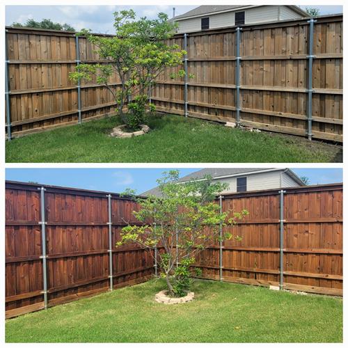 Fence staining  before and after