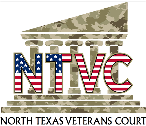 Volunteer Mentor, North Texas Veterans Court