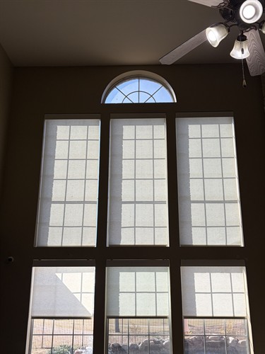 roller shades