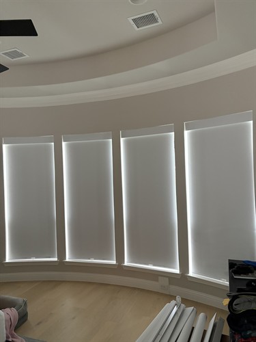 roller shades