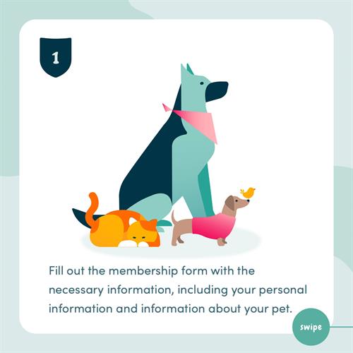 Step 1 - Tell us a little about you and your pet.