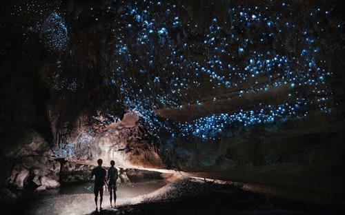 Glow worm cave New Zeland Tour