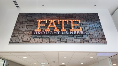 Fate really did bring us here