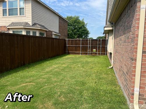 after fence was stained