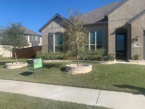 Austin Nicotine Stone Border Around Flower Bed and Tree