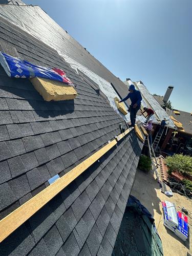 Roof Replacement