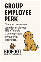 Bigfoot Pet - Sachse