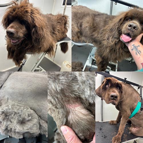 Gallery Image 352F8A16-2803-4D52-9C28-3954178384B9.jpeg