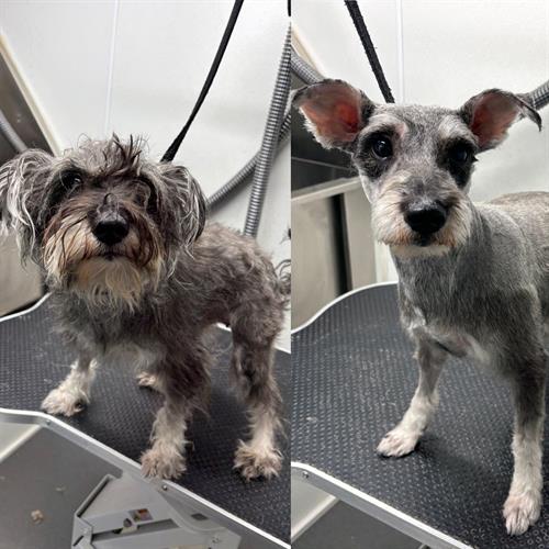 Gallery Image 5E936DA0-BE55-4D74-B5D6-AEE3E0BAB62D.jpeg