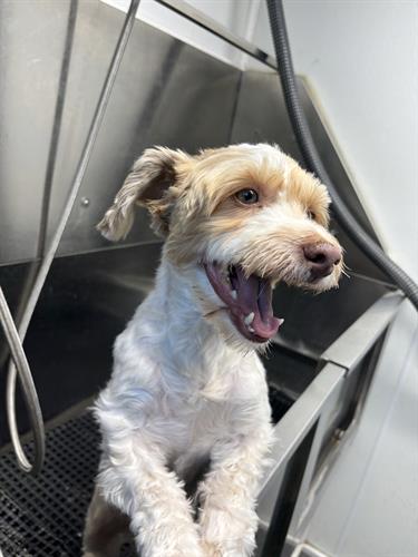 Gallery Image IMG_0012.jpeg