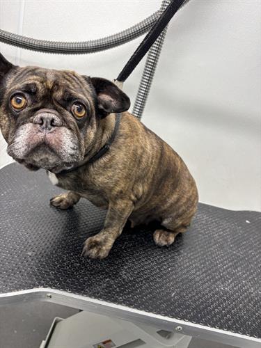 Gallery Image IMG_5265.jpeg