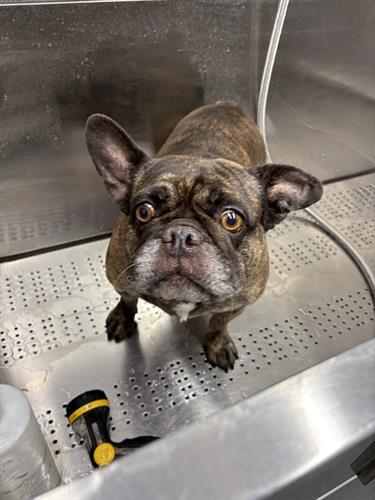 Gallery Image IMG_5268.jpeg