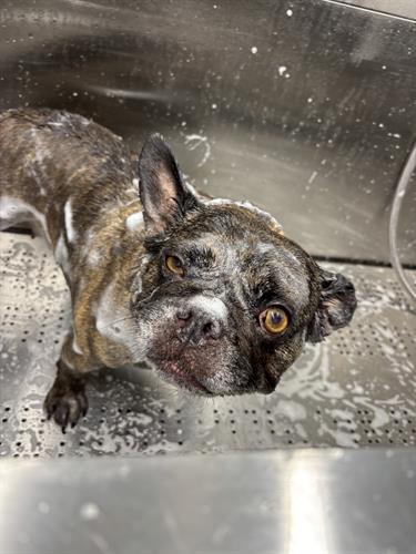 Gallery Image IMG_5271.jpeg