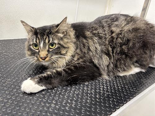 Gallery Image IMG_5313.jpeg