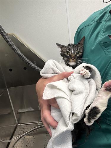 Gallery Image IMG_5324.jpeg