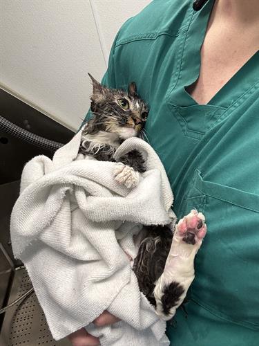 Gallery Image IMG_5326.jpeg