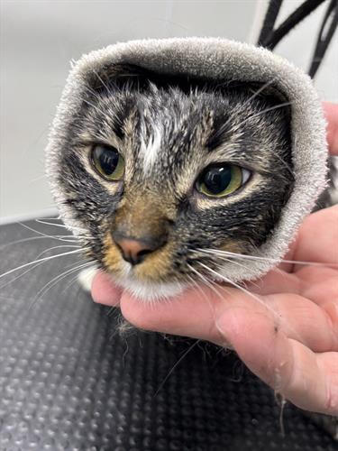 Gallery Image IMG_5328.jpeg