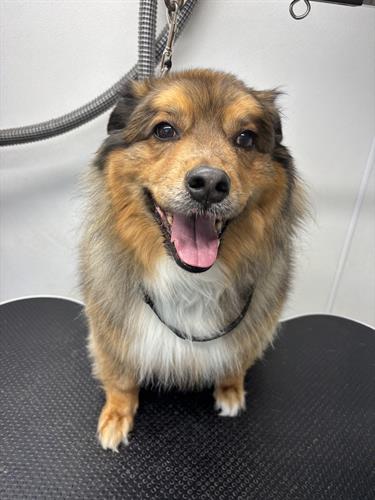 Gallery Image IMG_5337.jpeg