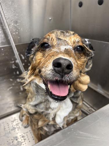 Gallery Image IMG_5341.jpeg