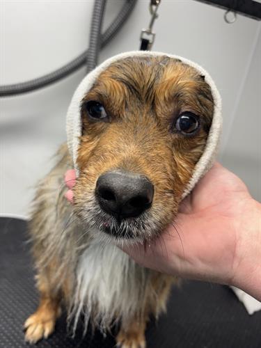 Gallery Image IMG_5347.jpeg