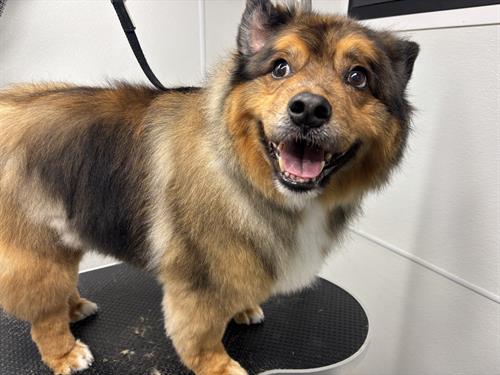 Gallery Image IMG_5351.jpeg