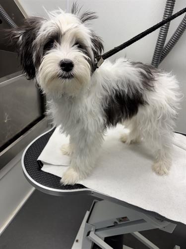 Gallery Image IMG_5355.jpeg