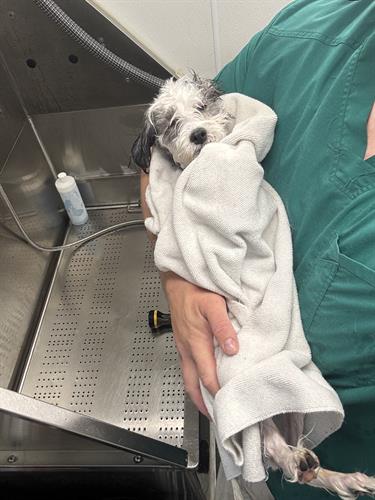 Gallery Image IMG_5362.jpeg