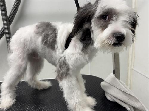 Gallery Image IMG_5365.jpeg