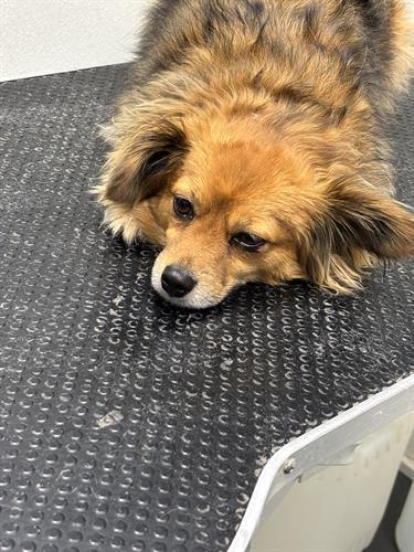 Gallery Image IMG_5371.jpeg