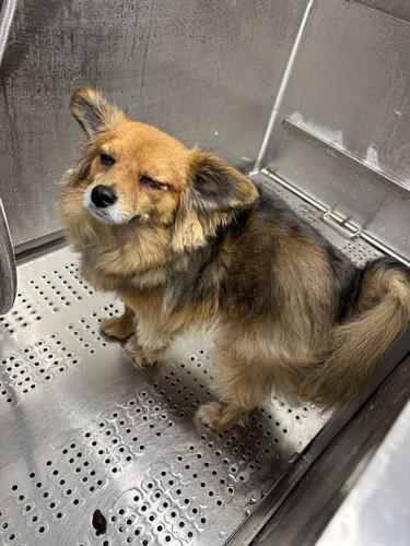 Gallery Image IMG_5372.jpeg