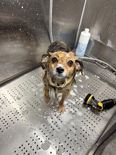 Gallery Image IMG_5374.jpeg