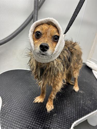 Gallery Image IMG_5378.jpeg