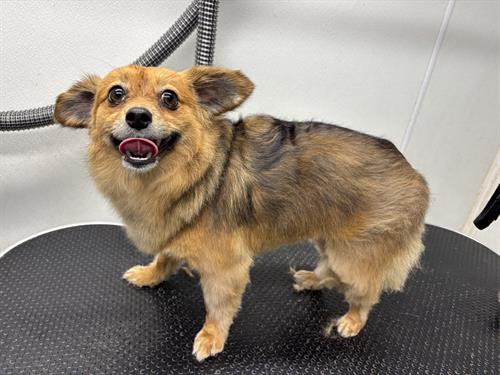 Gallery Image IMG_5380.jpeg