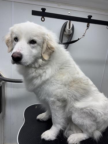 Gallery Image IMG_5384.jpeg