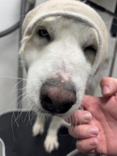 Gallery Image IMG_5390.jpeg