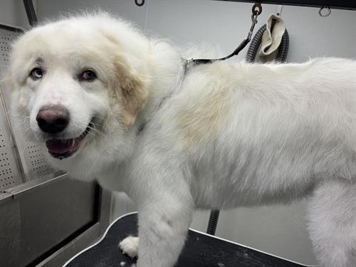 Gallery Image IMG_5392.jpeg