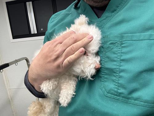 Gallery Image IMG_5400.jpeg