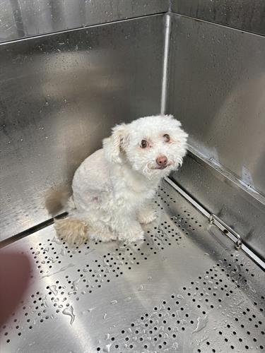 Gallery Image IMG_5405.jpeg