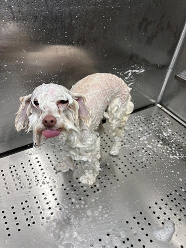 Gallery Image IMG_5406.jpeg