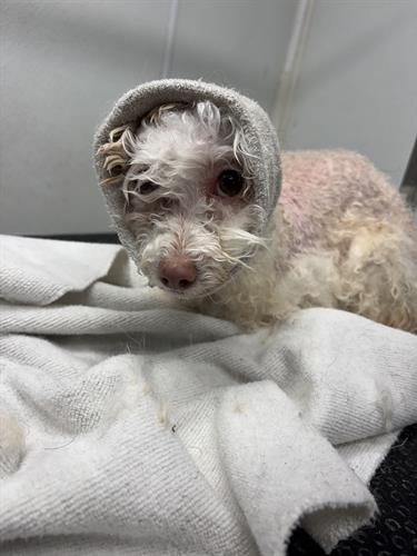 Gallery Image IMG_5409.jpeg